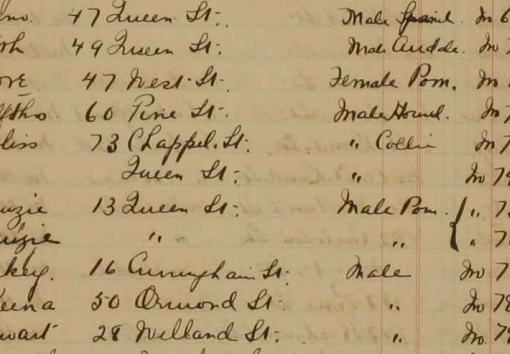 image of handwritten listing